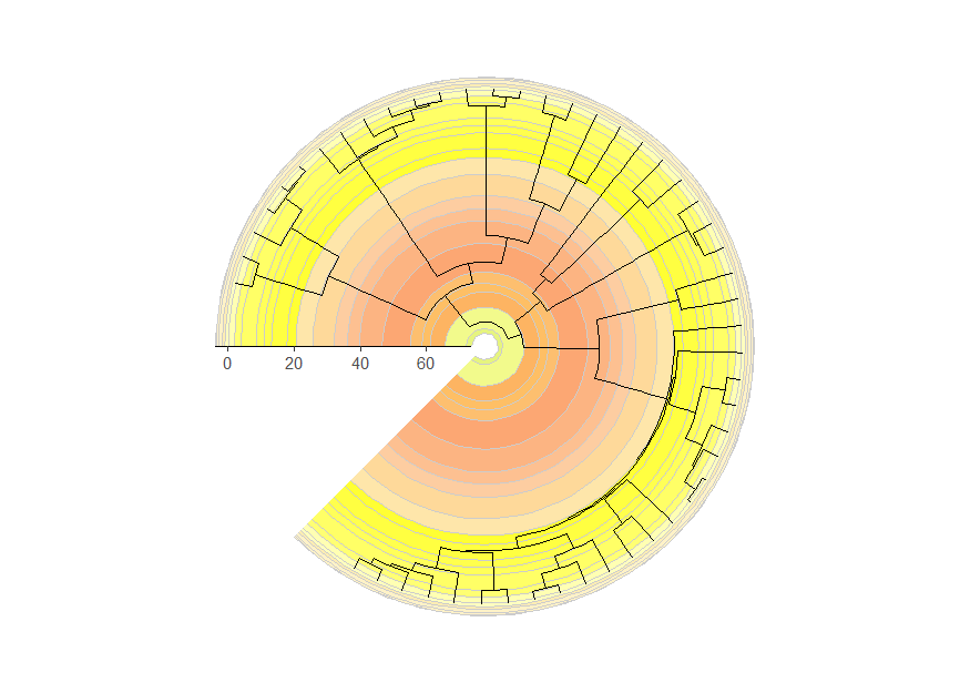 plot of phylogeny with a timescale in the background