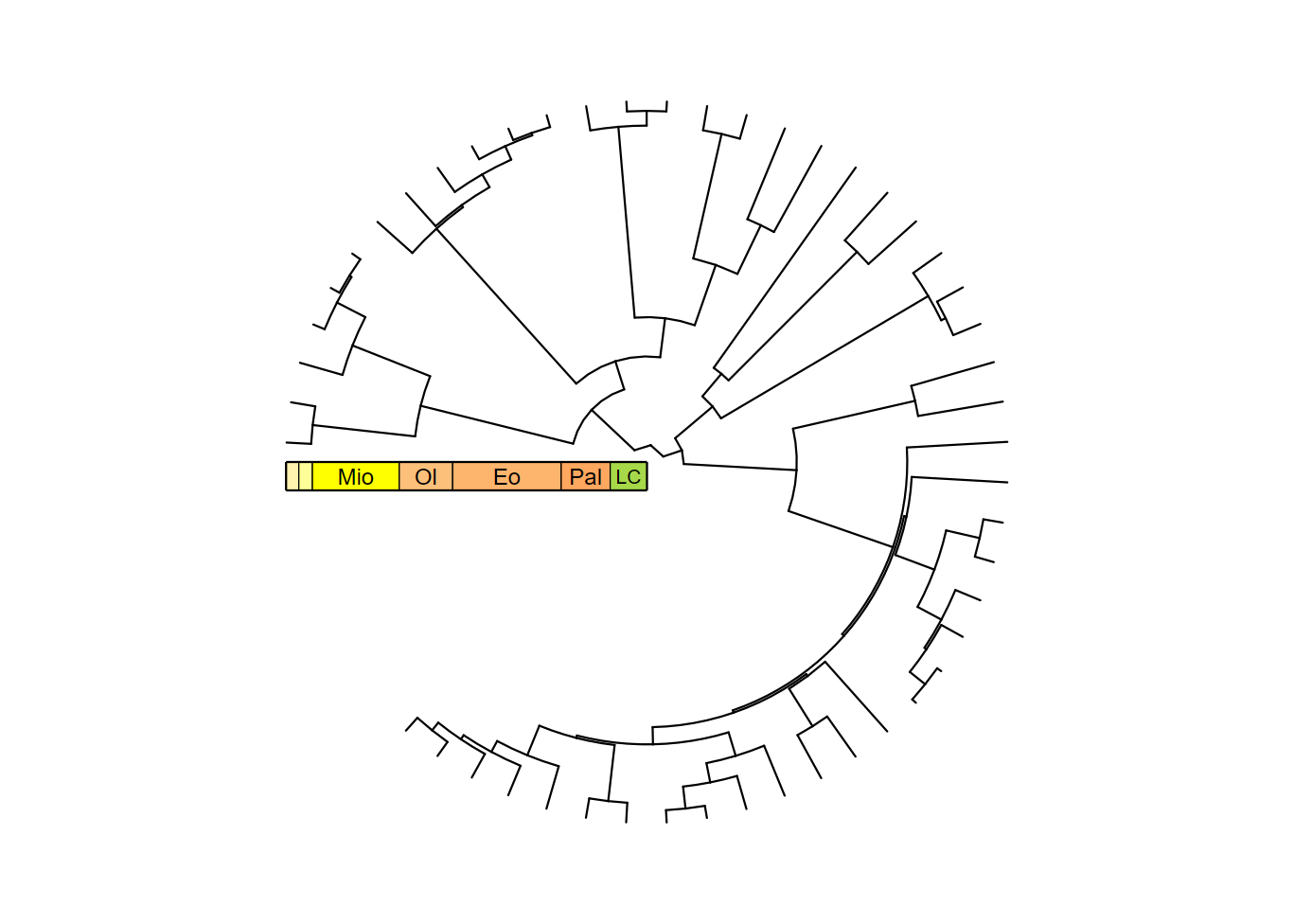 plot of phylogeny with guide_geo