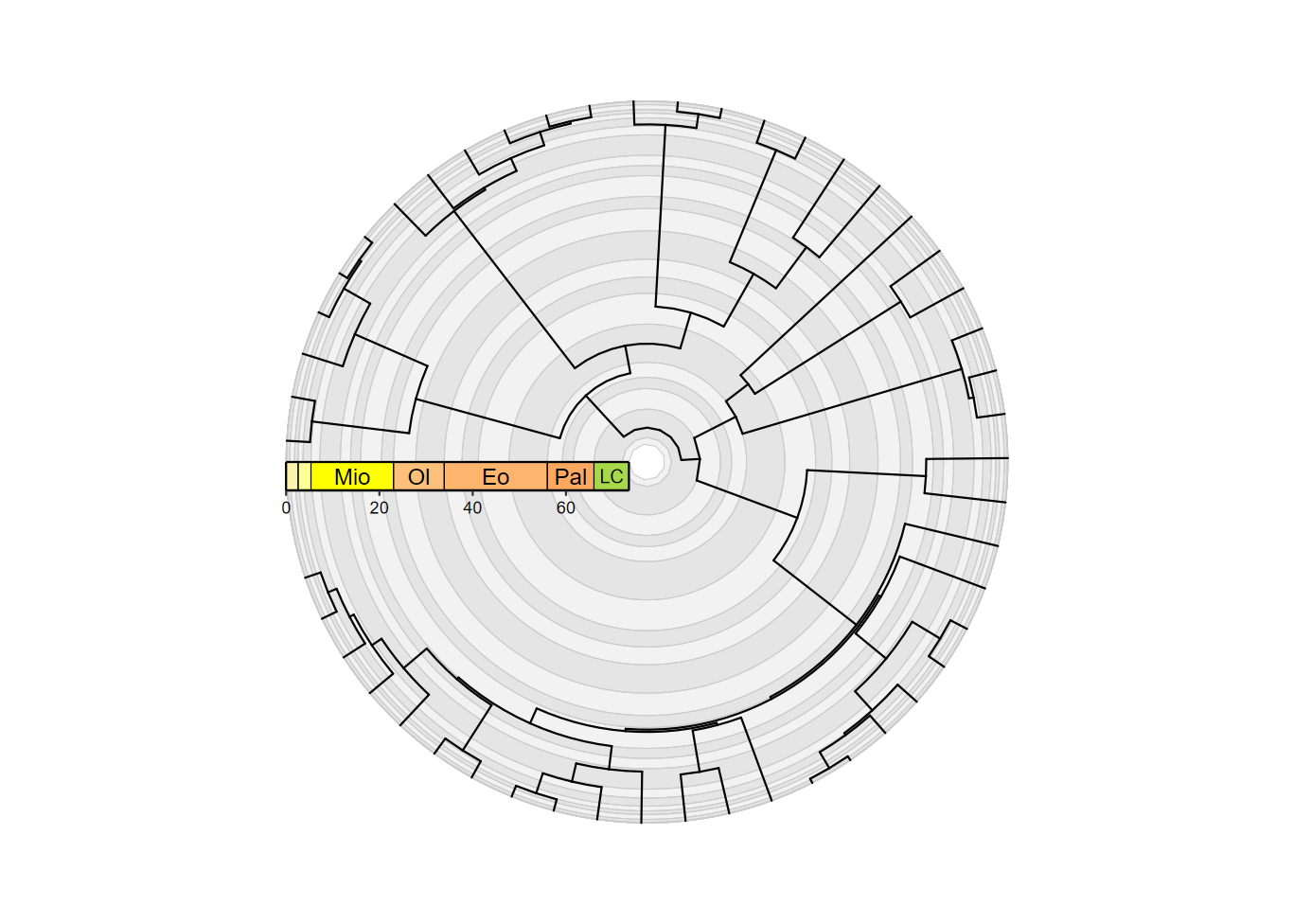 plot of phylogeny with stacked guides and coord_geo_radial